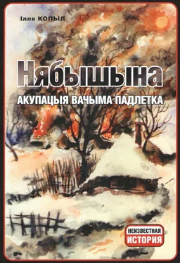 Илья Копыл Нябышына. Акупацыя вачыма падлетка обложка книги