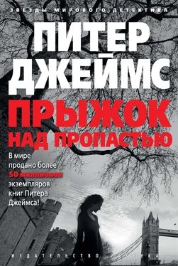 Питер Джеймс Прыжок над пропастью [litres] обложка книги