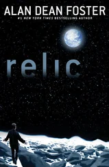 Алан Дин Фостер - Relic