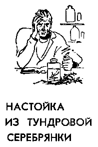 НАСТОЙКА ИЗ ТУНДРОВОЙ СЕРЕБРЯНКИ Вежливый стук в дверь Я отрываюсь от книги - фото 6