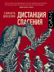 Саманта Швеблин - Дистанция спасения [litres]