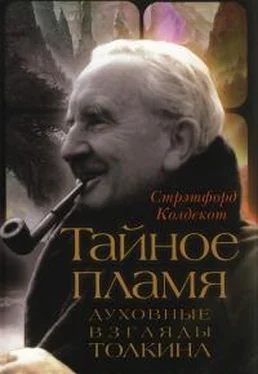 Стрэтфорд Колдекот Тайное Пламя. Духовные взгляды Толкина обложка книги