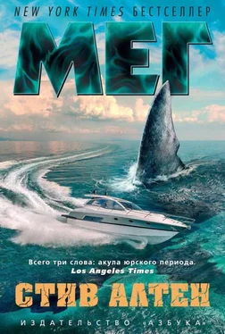 Стив Альтен Мег обложка книги