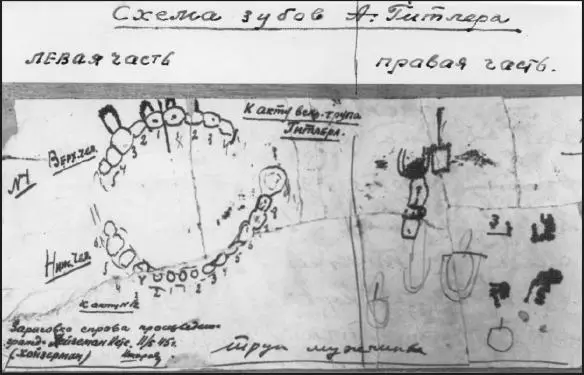 Dental assistant Käthe Heusermanns diagram of Hitlers teeth crucial to - фото 15