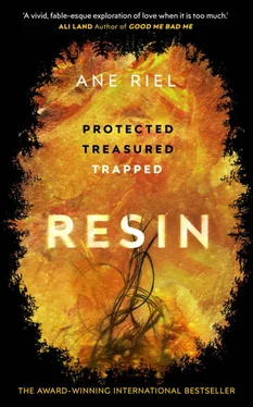 Ane Riel Resin обложка книги