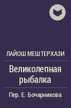 Лайош Мештерхази Великолепная рыбалка обложка книги