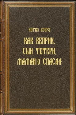 Хатка Бобра Как Веприк, сын Тетери, маманю спасал обложка книги