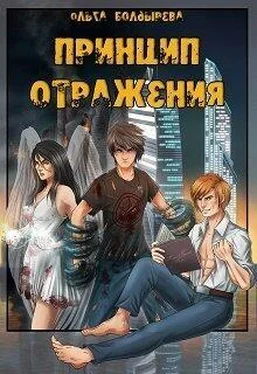 Ольга Болдырева Принцип отражения [СИ] обложка книги