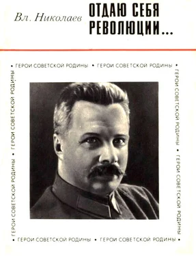 Владимир Николаев Отдаю себя революции... обложка книги