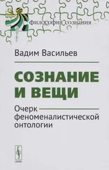 Вадим Васильев - Сознание и вещи. Очерк феноменалистической онтологии.