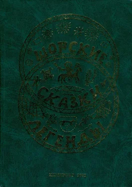 Андрей Чудояков Шорские сказки и легенды обложка книги