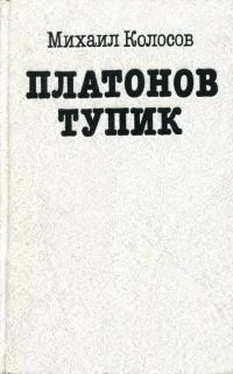 Михаил Колосов Платонов тупик обложка книги