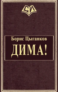 Борис Цыганков Дима! обложка книги