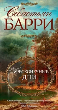 Себастьян Барри Бесконечные дни обложка книги