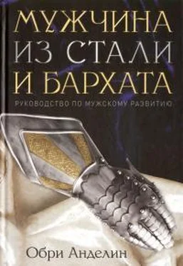 Обри Анделин Мужчина из стали и бархата обложка книги