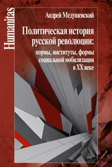 Андрей Медушевский - Политическая история русской революции - нормы, институты, формы социальной мобилизации в ХХ веке