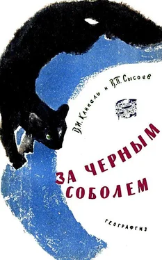 Всеволод Сысоев За черным соболем обложка книги