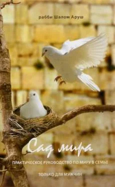 Шалом Аруш «Сад мира». Практическое руководство по миру в семье. обложка книги