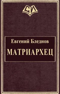 Евгений Бледнов МатриарХЕЦ обложка книги