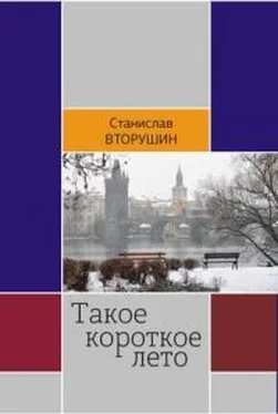 Станислав Вторушин Такое короткое лето обложка книги