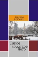 Станислав Вторушин - Такое короткое лето