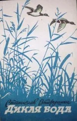 Станислав Вторушин - Дикая вода