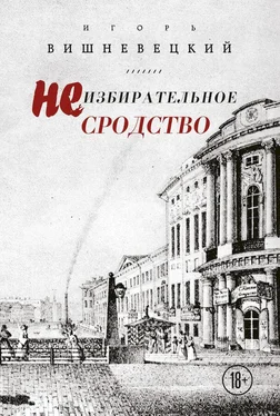 Игорь Вишневецкий Неизбирательное сродство [сборник] обложка книги