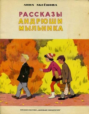 Анна Аксёнова Рассказы Андрюши Мыльника обложка книги