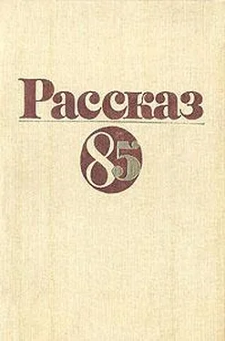 Анатолий Соболев Алтайский француз обложка книги