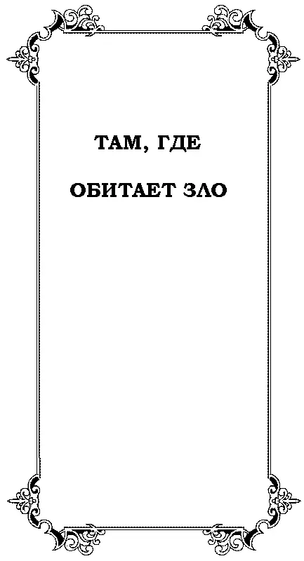 ТАМ ГДЕ ОБИТАЕТ ЗЛО Перевод с Английского Алексей Дмитриевич Иорданский - фото 5
