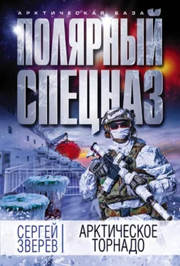 Сергей Зверев Арктическое торнадо обложка книги