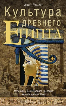 Джон Уилсон Культура Древнего Египта. Материальное и духовное наследие народов долины Нила обложка книги