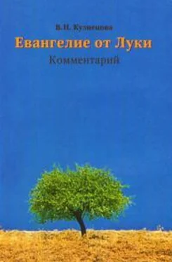 Валентина Кузнецова Евангелие от Луки. Комментарий обложка книги