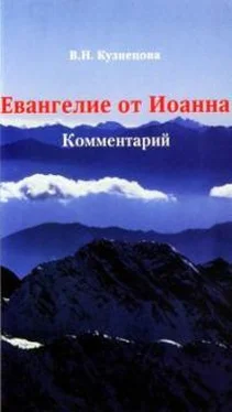 Валентина Кузнецова Евангелие от Иоанна. Комментарий обложка книги