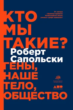 Роберт Сапольски Кто мы такие? Гены, наше тело, общество обложка книги