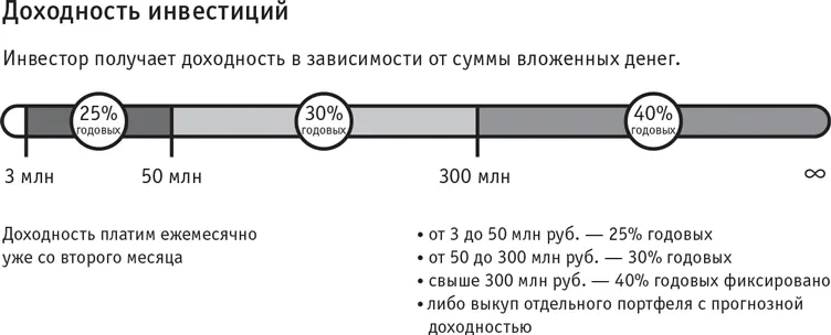 Все очень просто Мы раскрываем серьезным инвесторам абсолютно все наши - фото 12