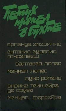 Михаил Вольпе Петух пропел в бухте (сборник) обложка книги