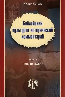 Крейг Кинер Библейский культурно-исторический комментарий. Часть II. НОВЫЙ ЗАВЕТ обложка книги