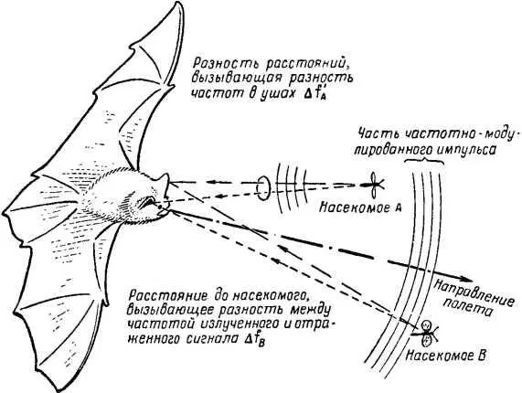 Рис 7 Сложение излучаемых импульсов модулированных по частоте и отраженных - фото 8