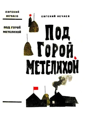 Евгений Нечаев Под горой Метелихой [Роман] обложка книги