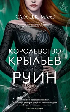 Сара Маас Королевство крыльев и руин обложка книги