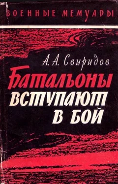 Владимир Васильев Батальоны вступают в бой обложка книги