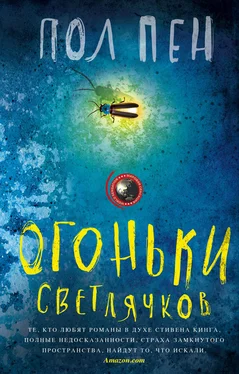 Пол Пен Огоньки светлячков обложка книги