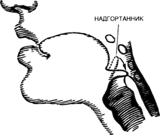 Организм не полностью зависит от безукоризненного функционирования - фото 38