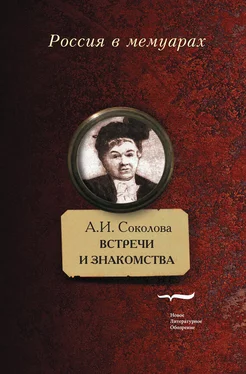 Александра Соколова Встречи и знакомства обложка книги