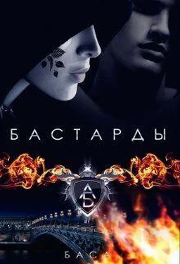 Баса Бастарды [СИ] обложка книги