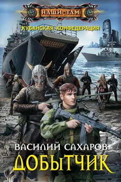 Василий Сахаров Добытчик [litres] обложка книги