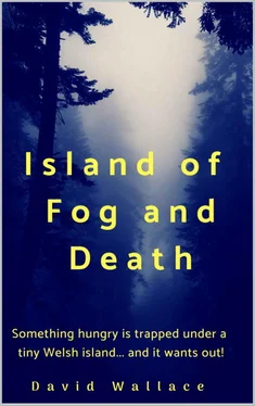 Дэвид Уоллес Island of Fog and Death обложка книги