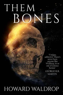Говард Уолдроп Them Bones обложка книги