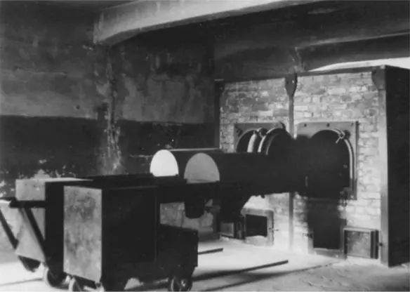 The Topf and Sons ovens in Crematorium I at AuschwitzBirkenau COURTESY OF - фото 15